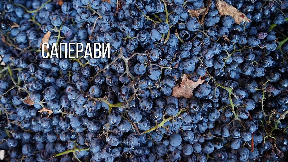 Саперави