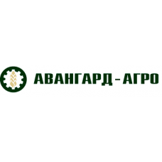 Авангард