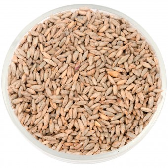 Солод Шато Рай ржаной (Rye) 6.0 EBC Солод Шато Рай ржаной (Rye) 6.0 EBC