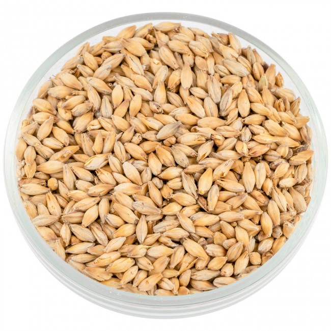 Солод Viking Пилсен (Pilsner) Солод Viking Пилсен (Pilsner)