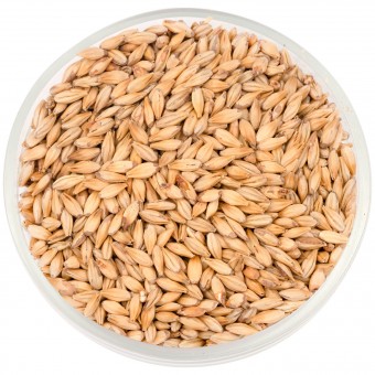 Солод Шато Кара Блонд (Cara Blond) 20 EBC  Солод Шато Кара Блонд (Cara Blond) 20 EBC