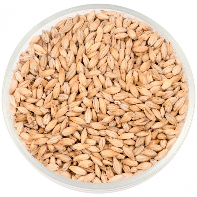 Солод Шато Пейл Эль (Pale Ale) 9.0 EBC Солод Шато Пейл Эль (Pale Ale) 9.0 EBC