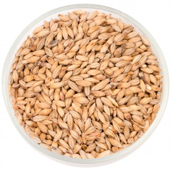 Солод Шато Мюник (Munich) 25 EBC Солод Шато Мюник (Munich) 25 EBC