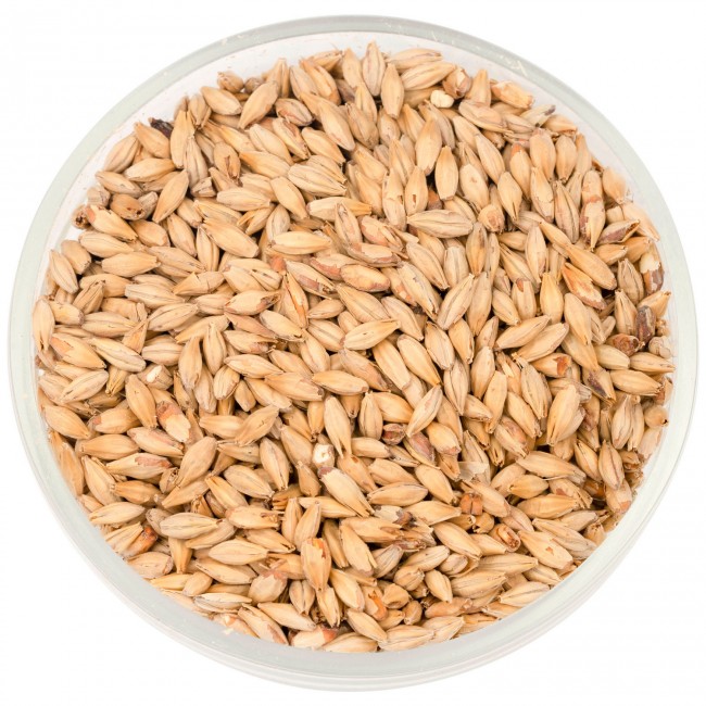 Солод Шато Эбби  (Abbey) 45 EBC  Солод Шато Эбби  (Abbey) 45 EBC