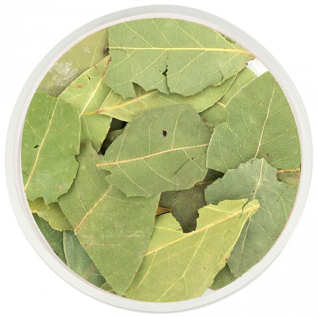 Лавровый лист 20 гр. Лавровый лист 20 гр.