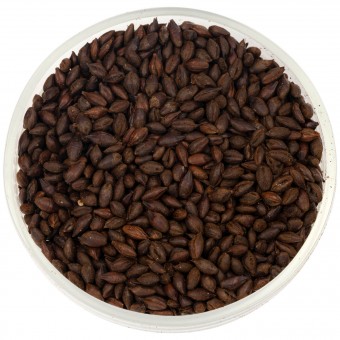 Солод Шато Роустед Барли (Roasted Barley) 1150 EBC  Солод Шато Роустед Барли (Roasted Barley) 1150 EBC