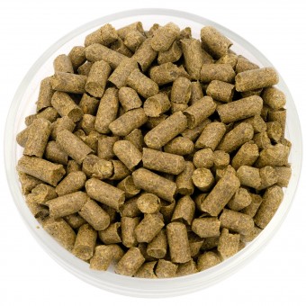 Хмель Херсбрукер (Hersbrucker) 3.4% 100 гр. Хмель Херсбрукер (Hersbrucker) 3.4% 100 гр.