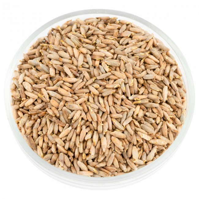 Солод ржаной