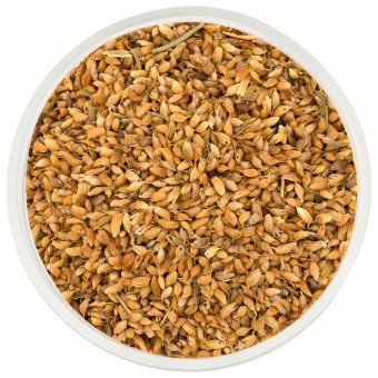 Уцхо-сунели (голубой пажитник) семена 50 гр. Уцхо-сунели (голубой пажитник) семена 50 гр.