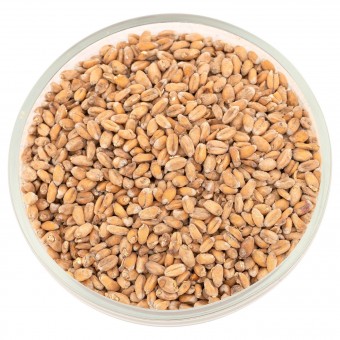 Солод Белсолод "Пшеничный"  Солод Белсолод "Пшеничный"