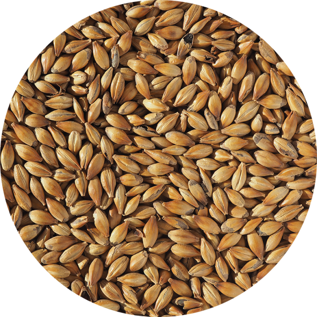 Солод Crisp Медиум Кристал (Medium Crystal) 240 EBC