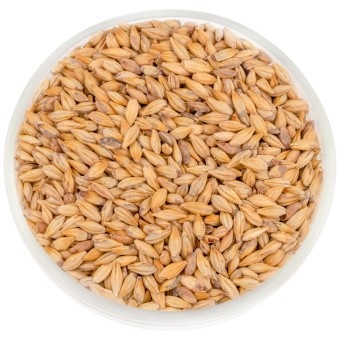 Солод Soufflet "Мюнхенский 25" Солод Soufflet "Мюнхенский 25"