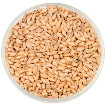 Солод Soufflet "Пилснер" Солод Soufflet "Пилснер"