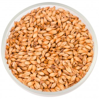 Солод Курск "Карамельный 100"  Солод Курск "Карамельный 100"