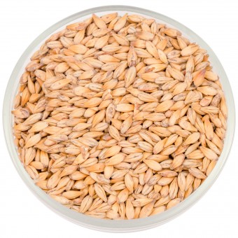 Солод Курск "Карамельный 20"  Солод Курск "Карамельный 20"