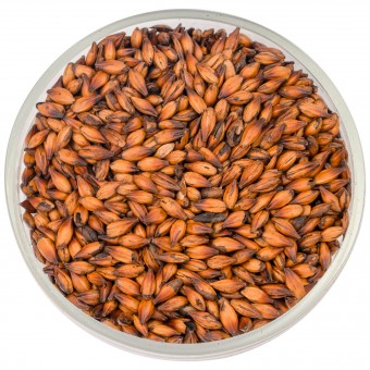 Солод Курск "Карамельный 300"  Солод Курск "Карамельный 300"