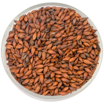 Солод Soufflet "Жженый Шоколад 800-1000" Солод Soufflet "Жженый Шоколад 800-1000"