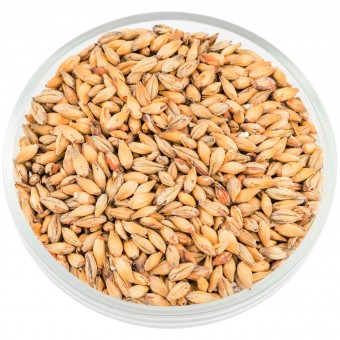 Солод Курск "Мюнхенский 19-24"  Солод Курск "Мюнхенский 19-24"