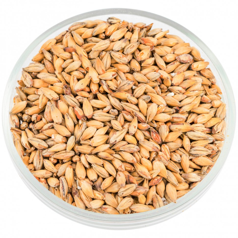 Купить солод Курск "Мюнхенский 19-24" в Екатеринбурге по цене 110 руб ...