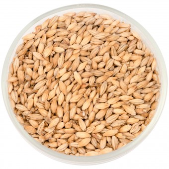 Солод Шато Диастатик (Diastatic) 3.5 EBC  Солод Шато Диастатик (Diastatic) 3.5 EBC